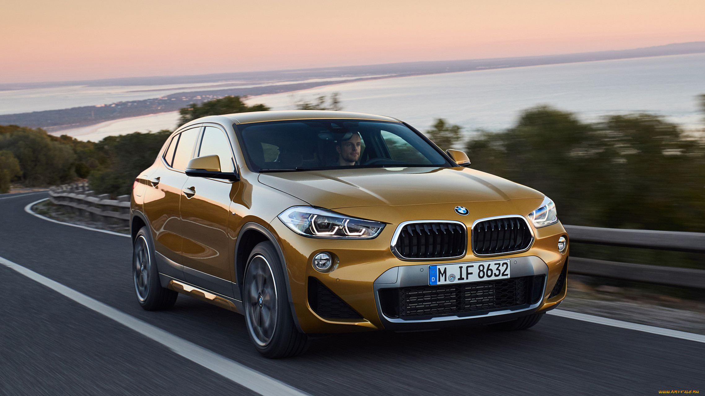 bmw x2 xdrive20d m sport x 2018, , bmw, x, 2018, sport, x2, m, xdrive20d